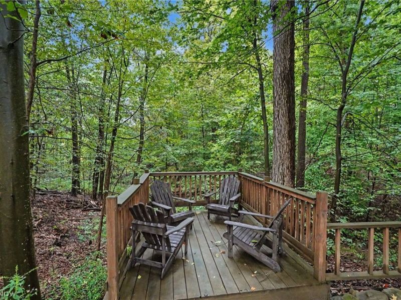 1295 Connecticut Woods Drive, Hudson, OH 44236 Photo 48