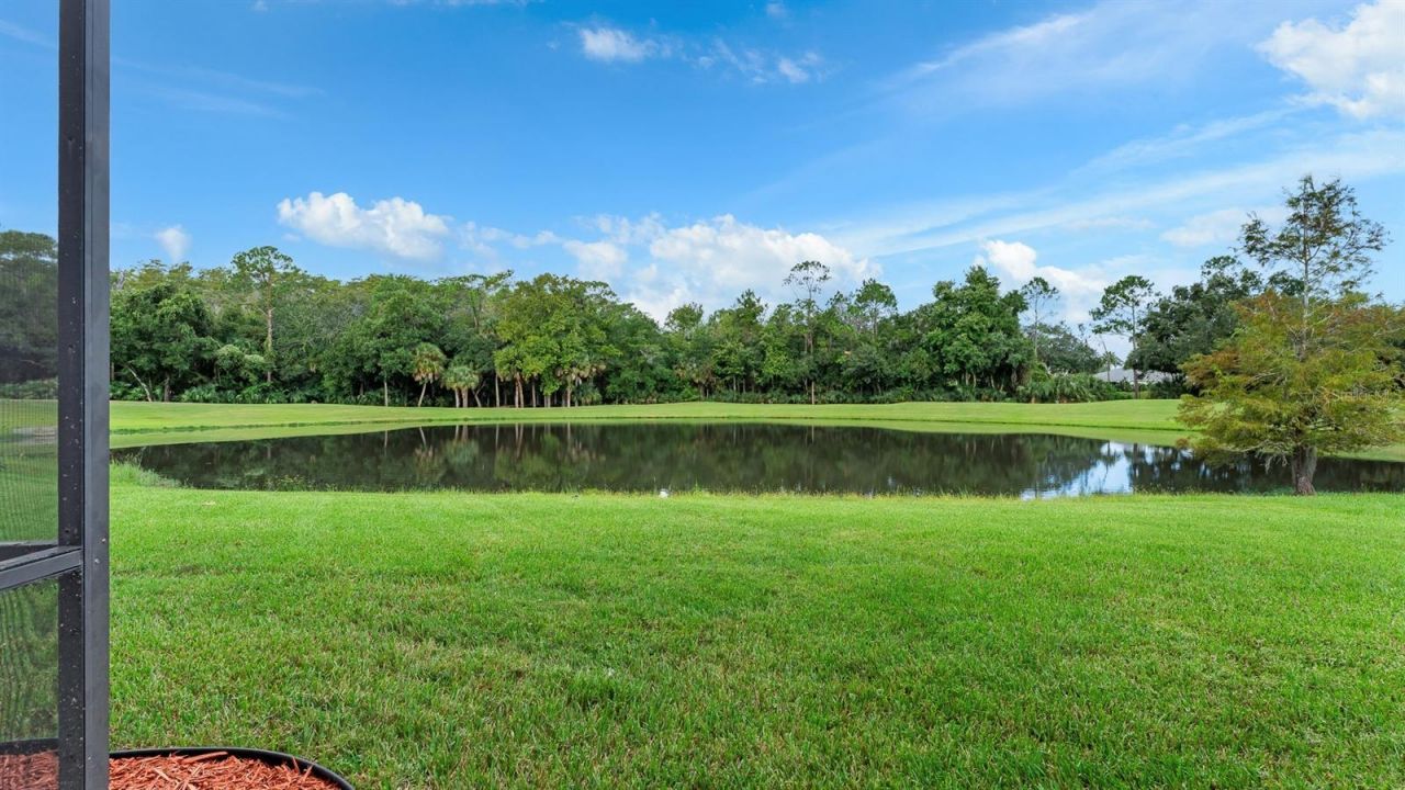 2336 Stewarts Cove Way, Orlando, FL 32828 Photo