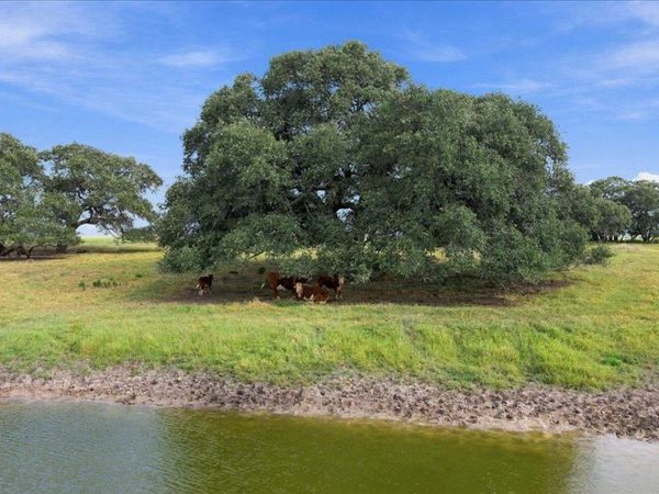 2561 Roitsch RD, Schulenburg, TX 78956