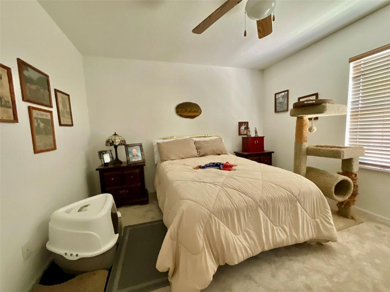 20970 NE 30th Street , Williston, FL 32696 Photo
