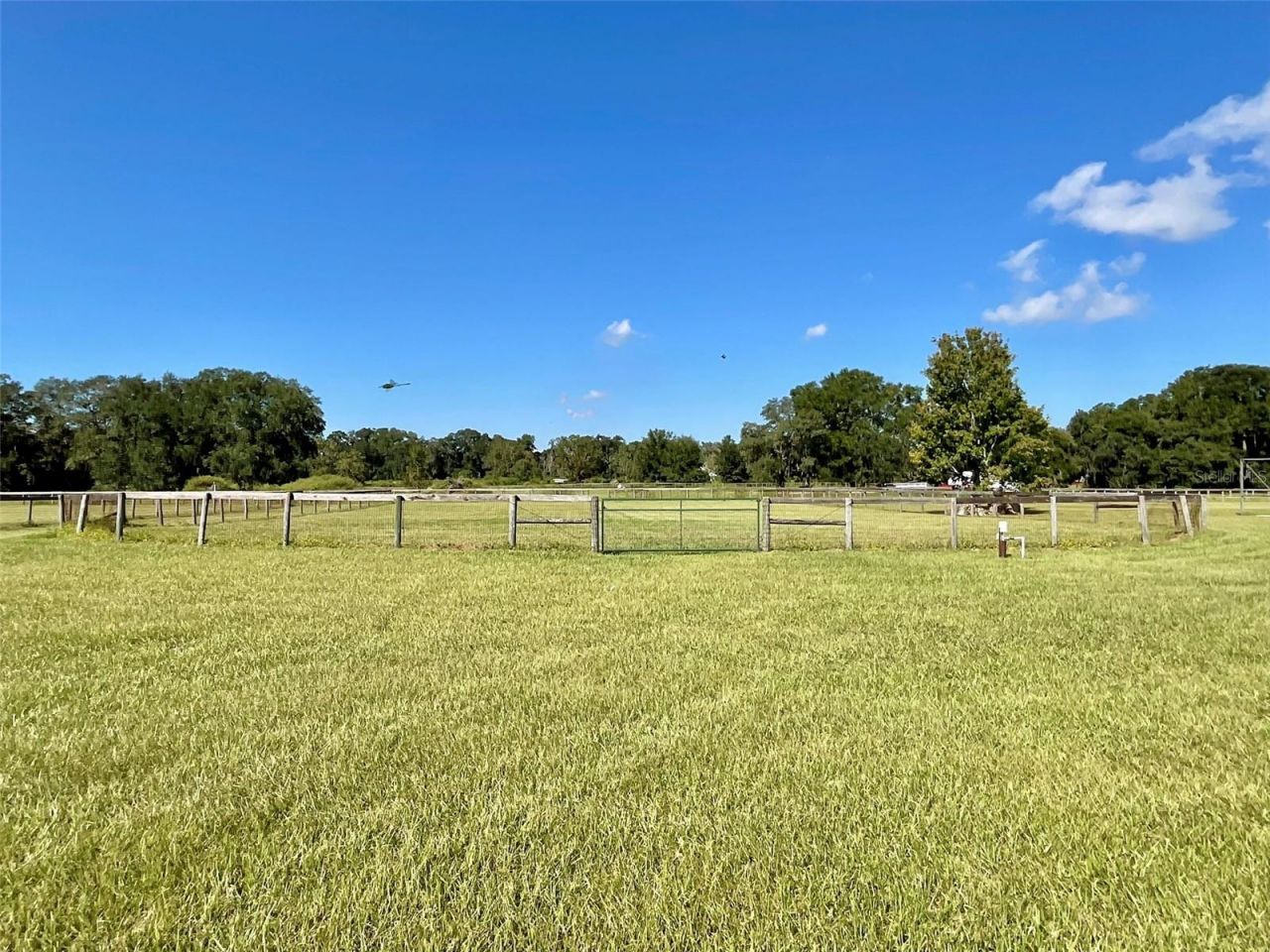 20970 NE 30th Street , Williston, FL 32696 Photo