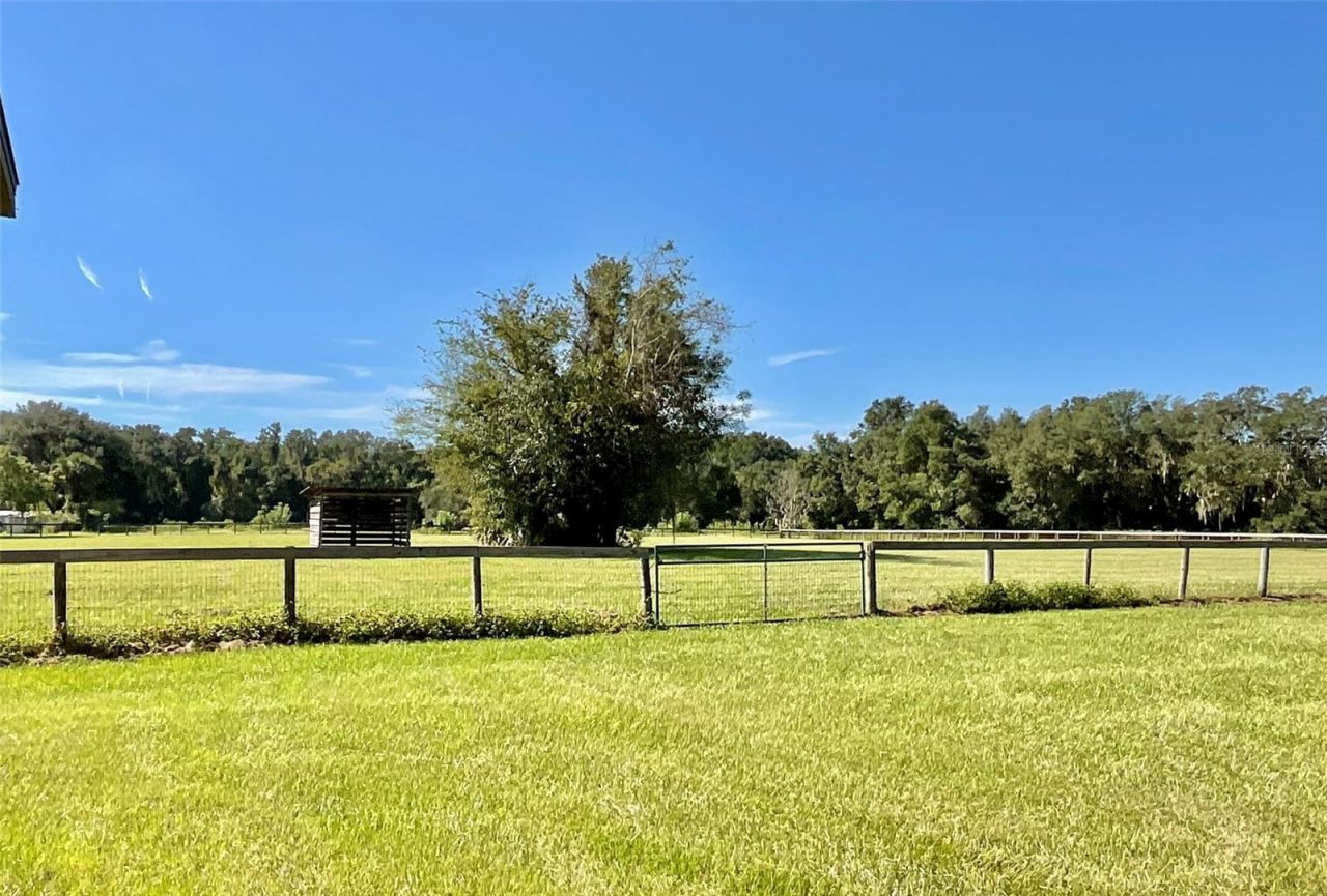 20970 NE 30th Street , Williston, FL 32696 Photo