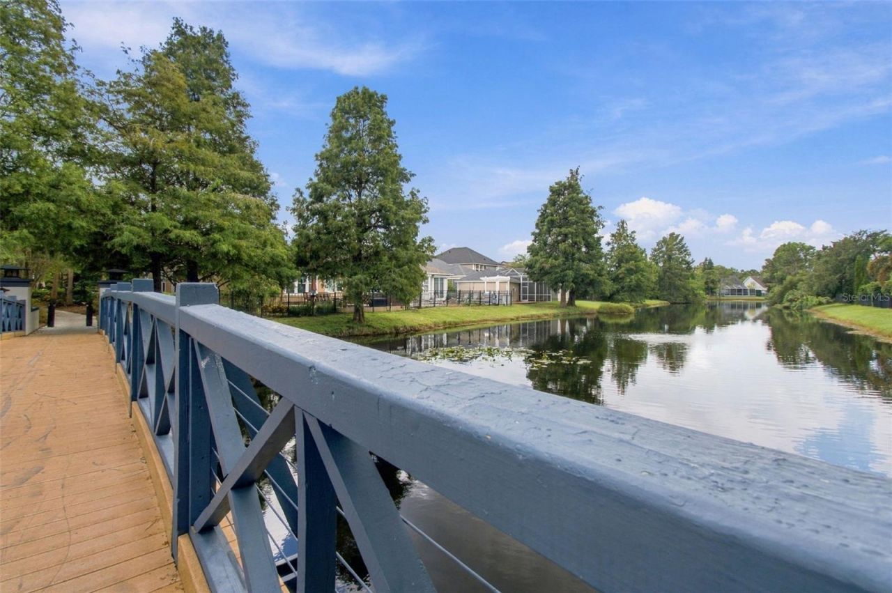 10306 Marchmont Court, Tampa, FL 33626 Photo