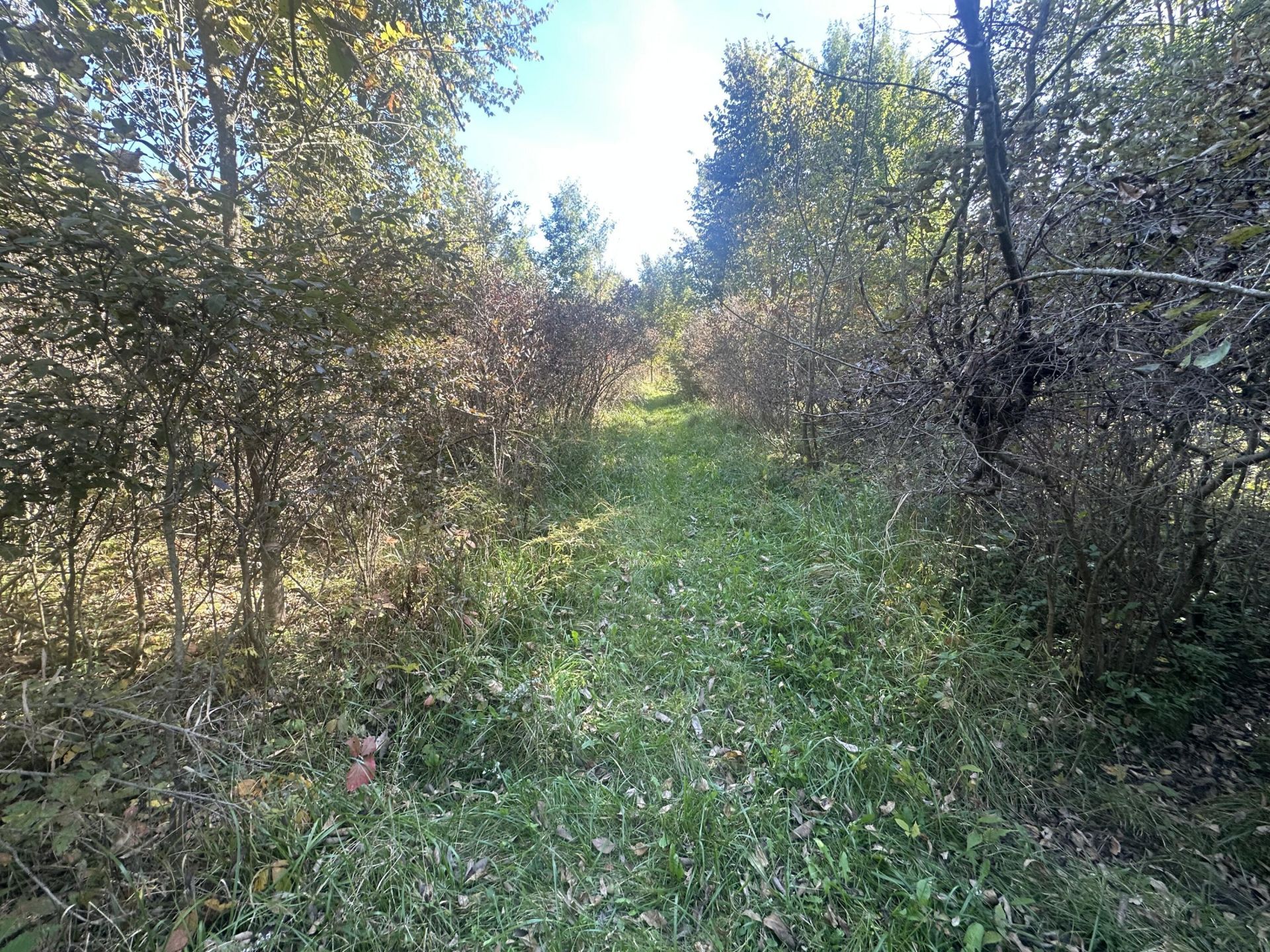 Vl 20 Mile Road, Marshall, MI 49068 Main Photo
