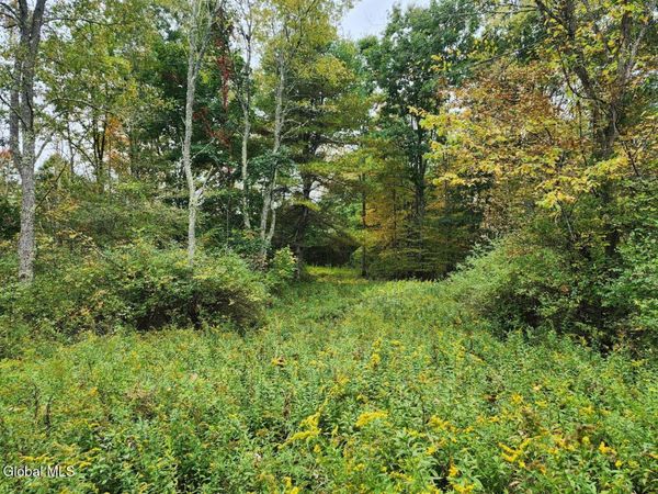 L15.4 Bogtown Road, Salem, NY 12865