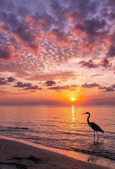 4485 Gulf Of Mexico Drive, Unit 402, Longboat Key, FL 34228 Photo