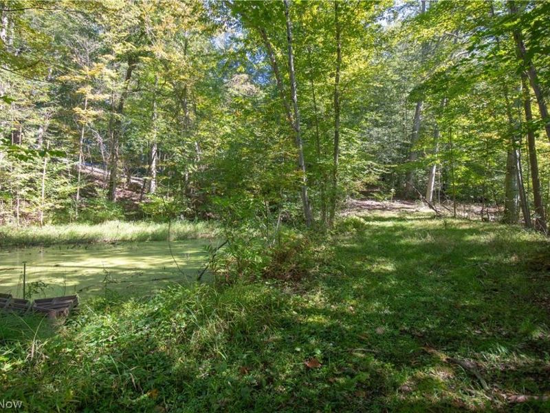 12061 Heath Road, Chesterland, OH 44026 Photo 8