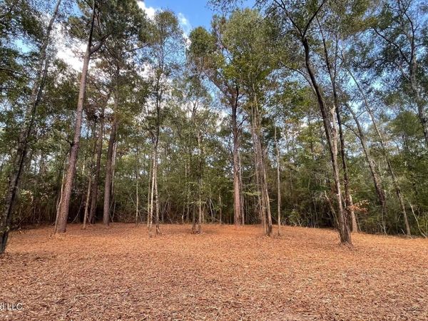 Old Hwy 49, Saucier, MS 39574