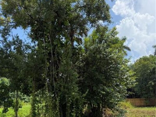 557 Sacramento ST, NORTH FORT MYERS, FL 33903