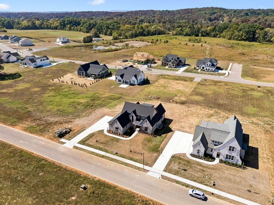 Property Image 63