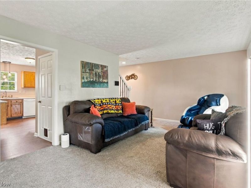 3704 N Viona Drive, Akron, OH 44319 Photo 18