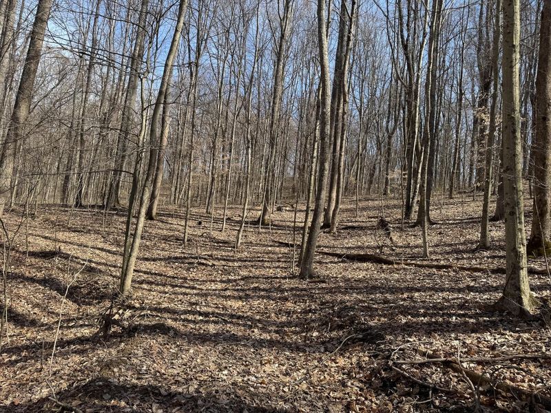 7471 Township Rd 215-A SE, Unit (ATV Getaw, Corning, OH 43730 Photo 12