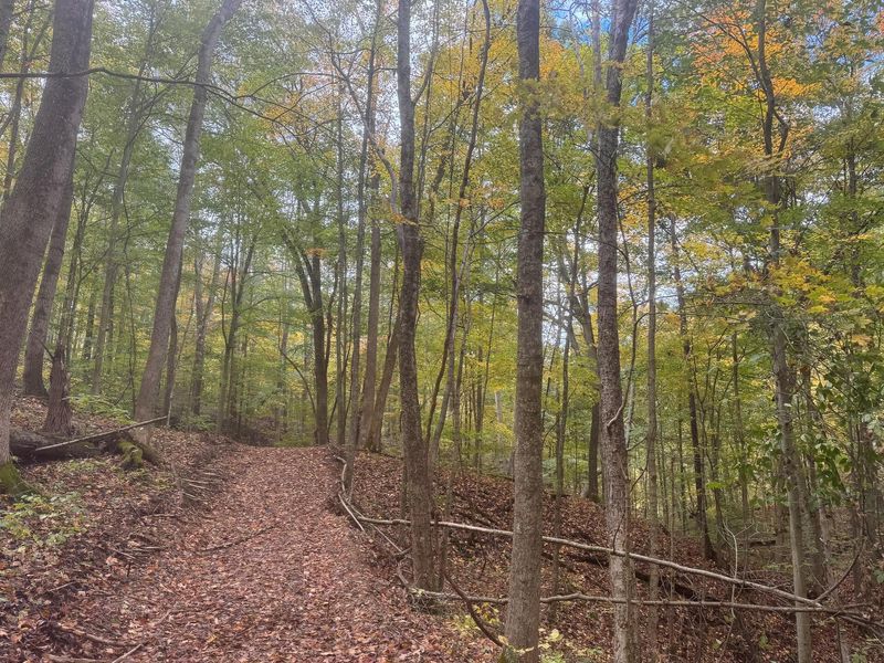7471 Township Rd 215-A SE, Unit (ATV Getaw, Corning, OH 43730 Photo 13