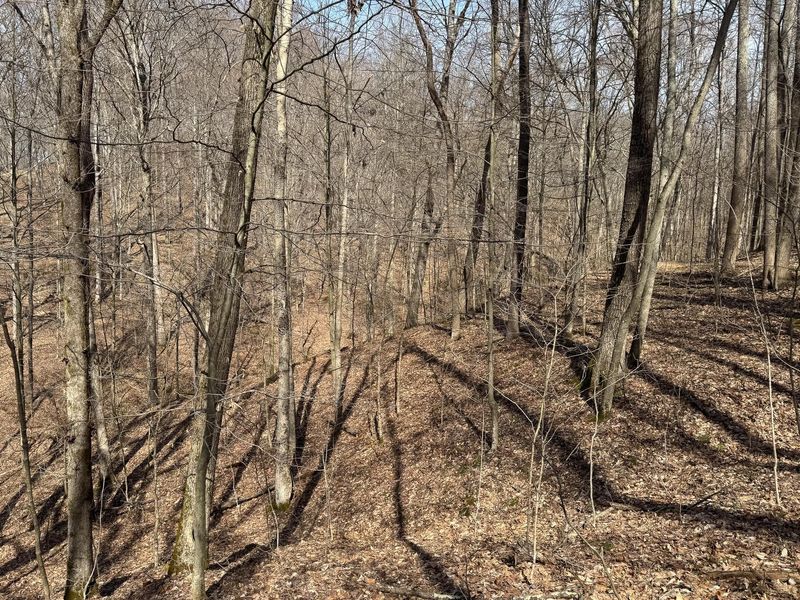 7471 Township Rd 215-A SE, Unit (ATV Getaw, Corning, OH 43730 Photo 14