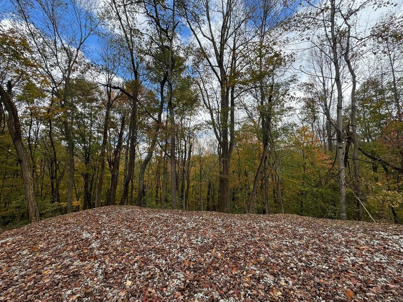 7471 Township Rd 215-A SE, Unit (ATV Getaw, Corning, OH 43730 Photo 15