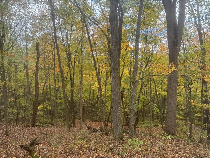 7471 Township Rd 215-A SE, Unit (ATV Getaw, Corning, OH 43730 Photo 16