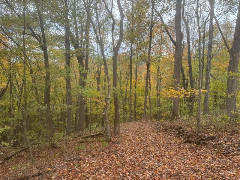 7471 Township Rd 215-A SE, Unit (ATV Getaw, Corning, OH 43730 Photo 17