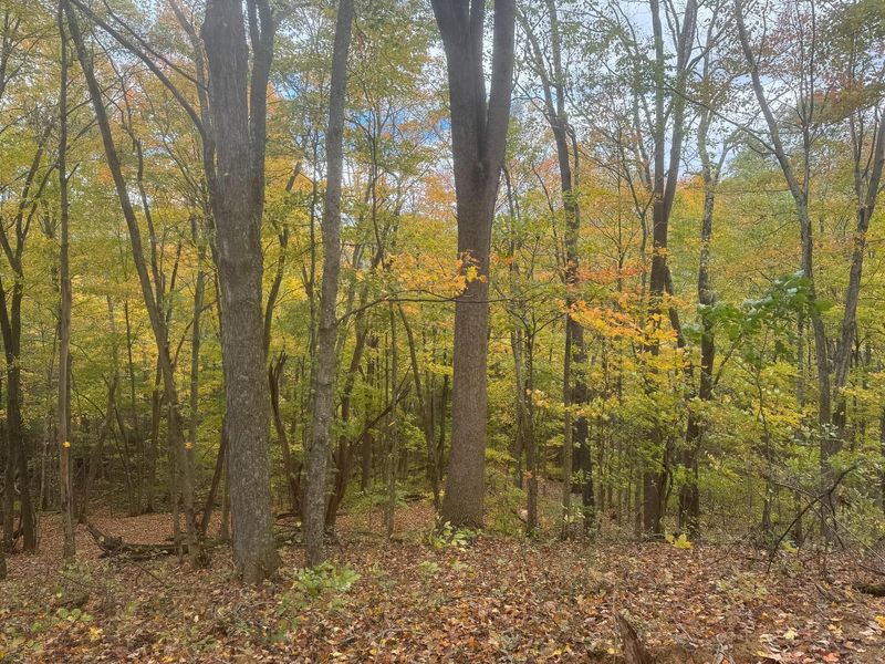 7471 Township Rd 215-A SE, Unit (ATV Getaw, Corning, OH 43730 Photo 18