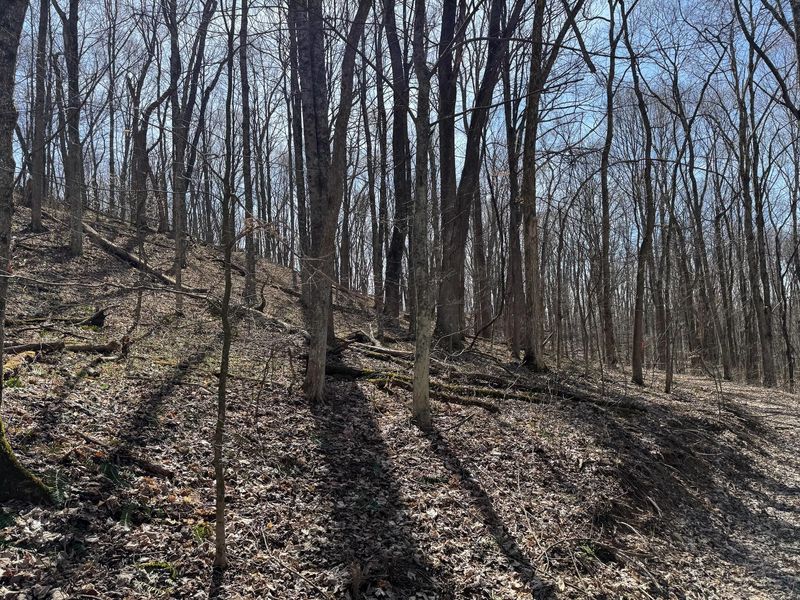 7471 Township Rd 215-A SE, Unit (ATV Getaw, Corning, OH 43730 Photo 21