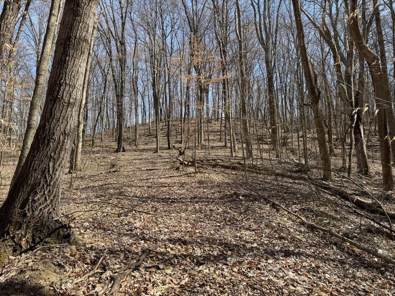 7471 Township Rd 215-A SE, Unit (ATV Getaw, Corning, OH 43730 Photo 24