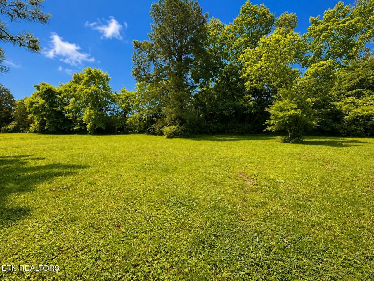 191 Curnutt Lane, Ten Mile, TN 37880 Main Photo