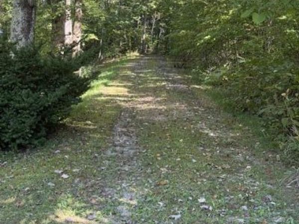 Heather Hills Drive, Rose Hill, VA 24281