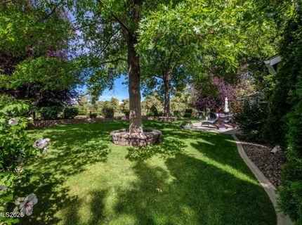 1036 Wisteria Drive, Minden, NV 89423 Photo