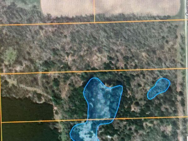 V/L 20AC Weaver Road, Comins, MI 48619