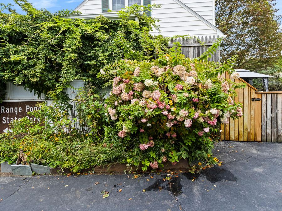 Property Image 57
