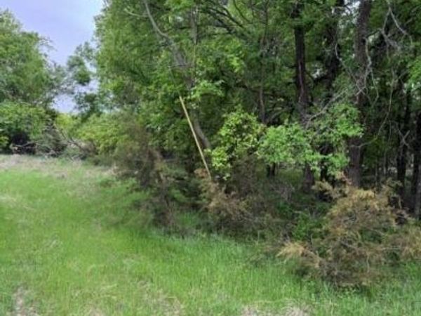 17082 Faircrest Drive , Whitney, TX 76692