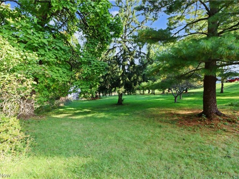 4075 Hamilton Road, Medina, OH 44256 Photo 30