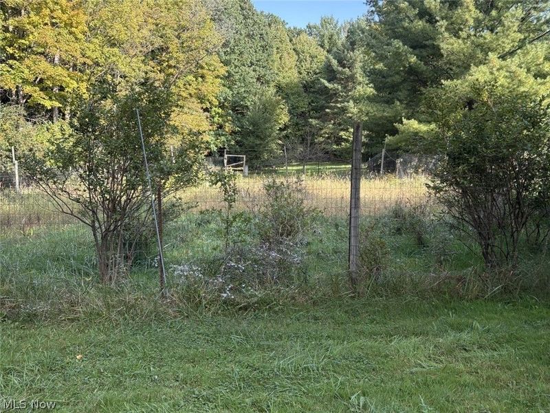 4075 Hamilton Road, Medina, OH 44256 Photo 38