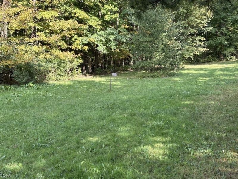 4075 Hamilton Road, Medina, OH 44256 Photo 39