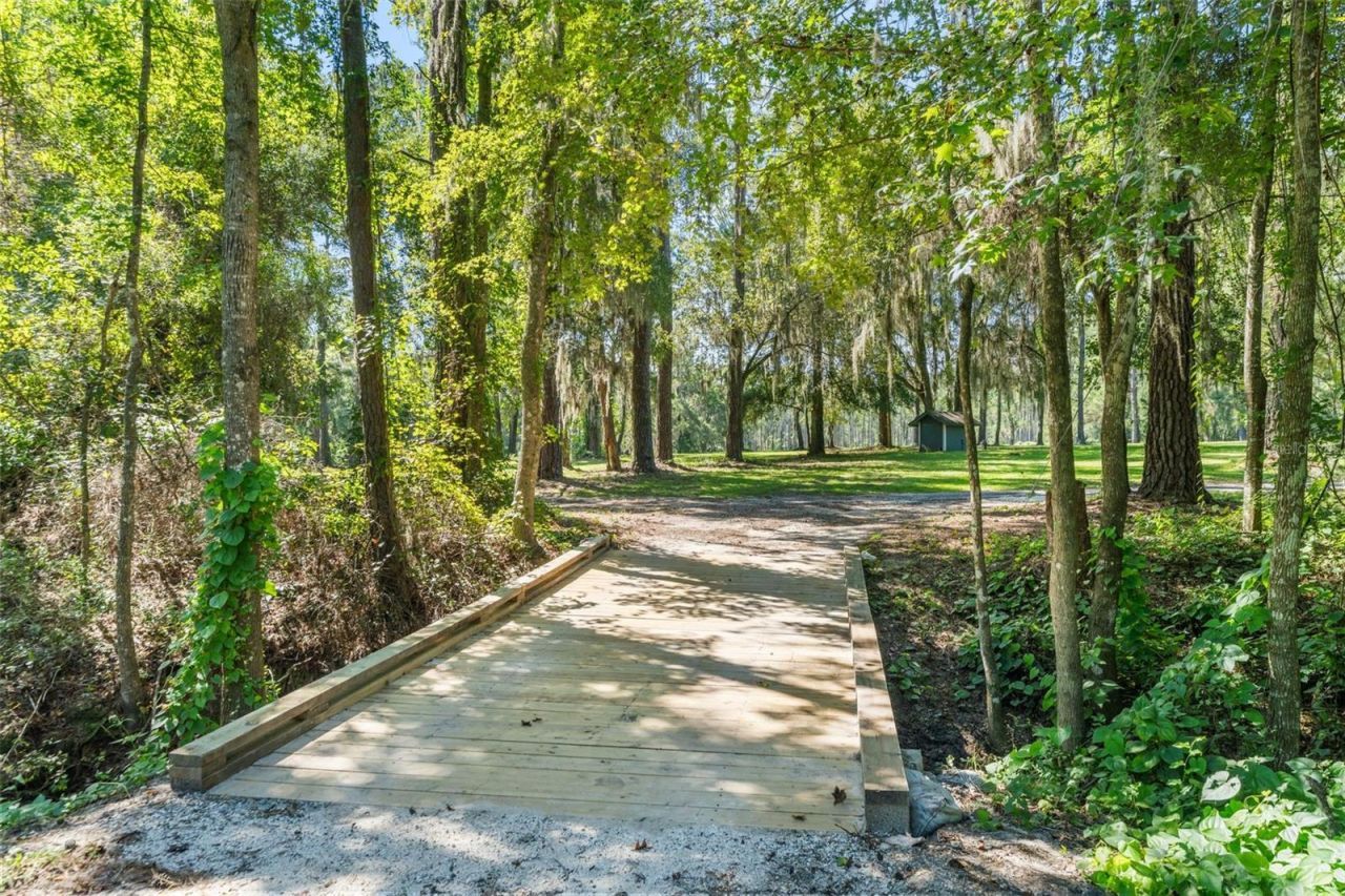 11317 NW 199th Avenue, Alachua, FL 32615 Photo
