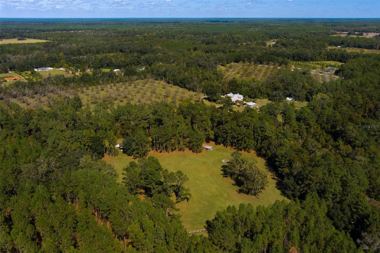 11317 NW 199th Avenue, Alachua, FL 32615 Photo