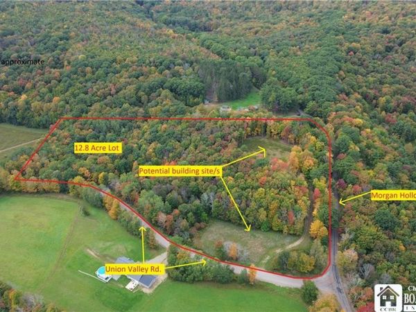 Union Valley Road , Olean, NY 14760