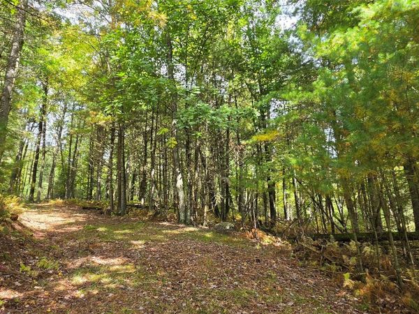 Lot 6.17 State Rt 97 , Narrowsburg, NY 12764