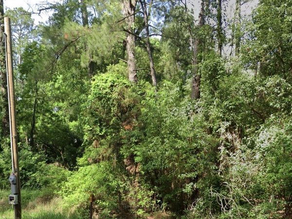 0 Ferry Rd, Fairhope, AL 36532