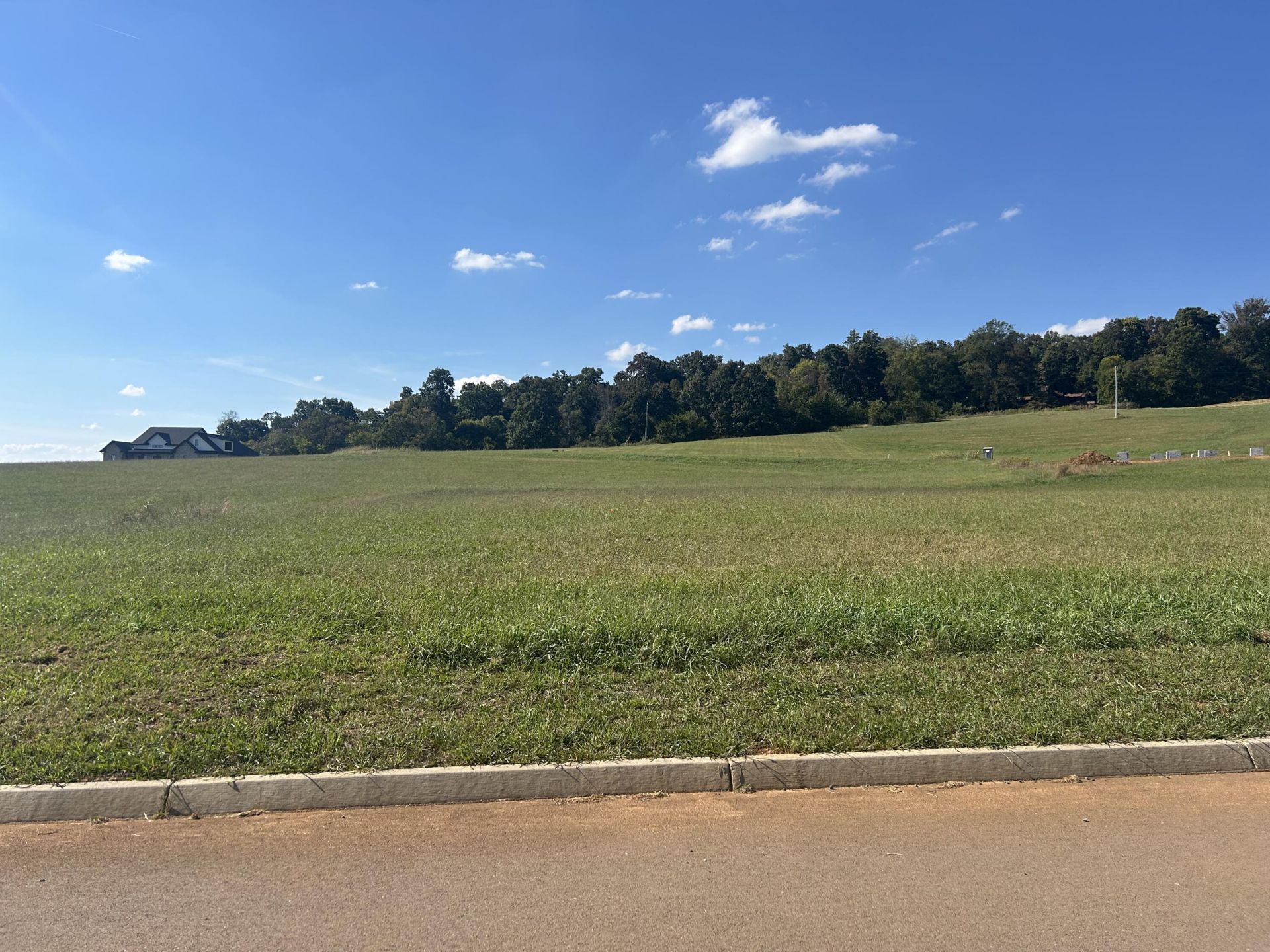 Lot 80 Meadow Vista Way, White Pine, TN 37890 Main Photo