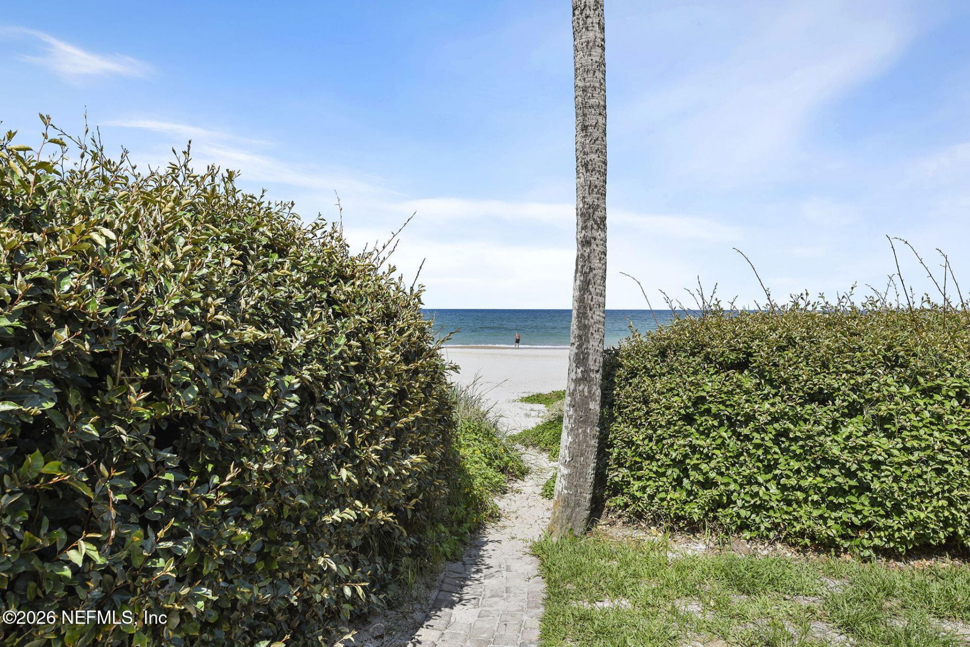 13 Arbor Club Drive, Unit 103, Palm Valley, FL 32082 Photo