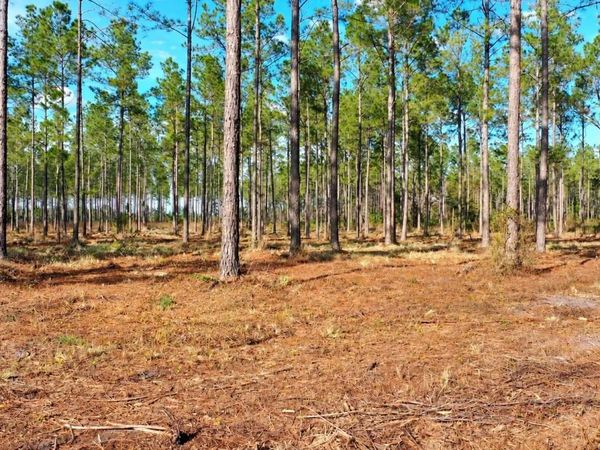 TBD NW County Road 235 Lot 23, Lake Butler, FL 32054