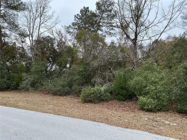 SW 137TH LOOP , OCALA, FL 34473