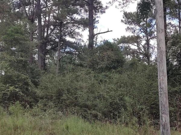 No Deer Creek Road, Lumberton, MS 39455