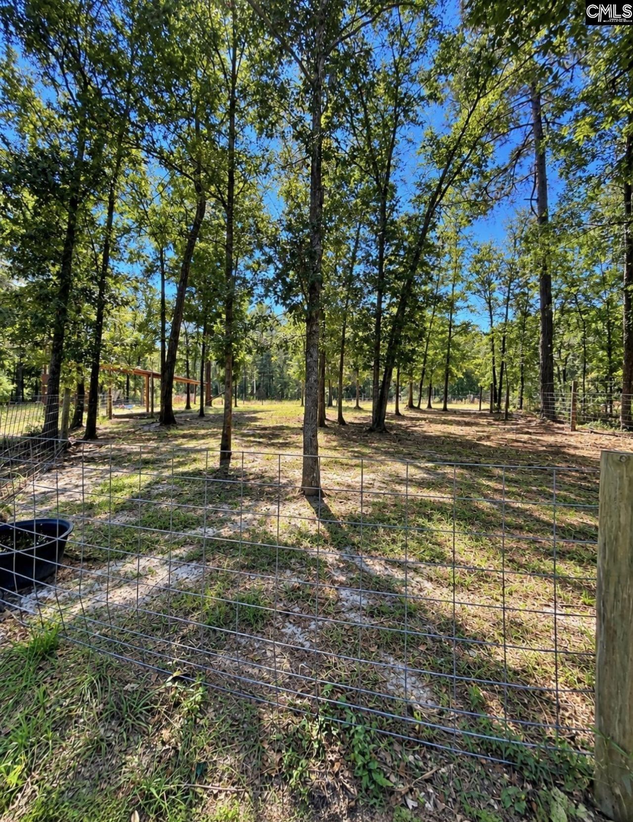 85 Robinson Lane Photo 12