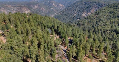 5540 Pine Ridge Rd., Foresthill, CA 95631 Photo