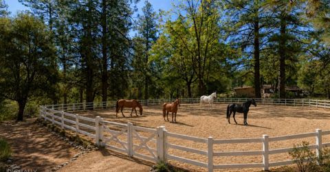 5540 Pine Ridge Rd., Foresthill, CA 95631 Photo
