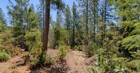 5540 Pine Ridge Rd., Foresthill, CA 95631 Photo