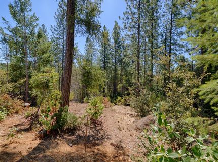 5540 Pine Ridge Rd., Foresthill, CA 95631 Photo