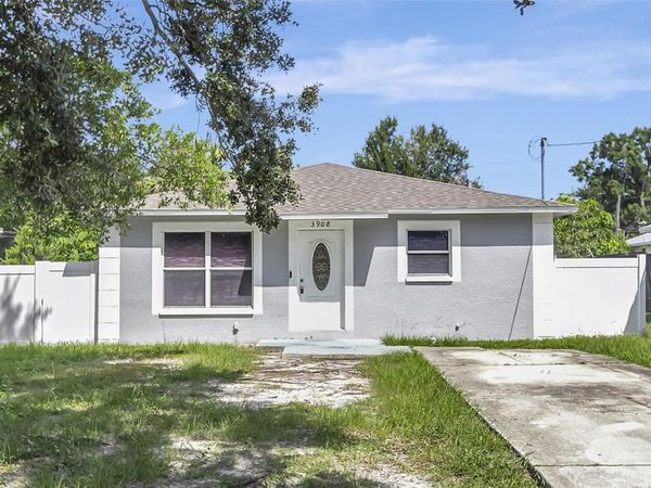 3908 E HENRY AVENUE , TAMPA, FL 33610