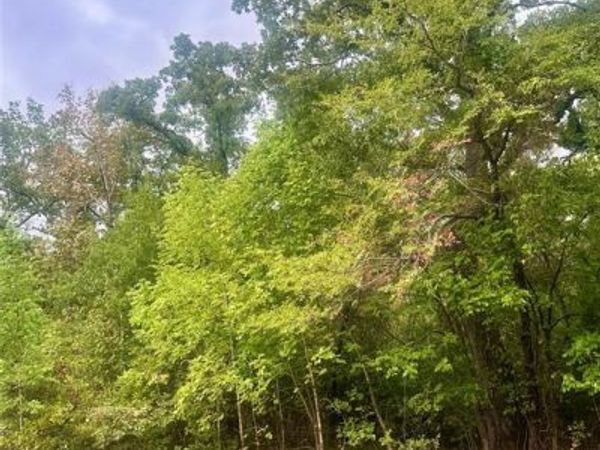 0 Alamo Road , Log Cabin, TX 75148